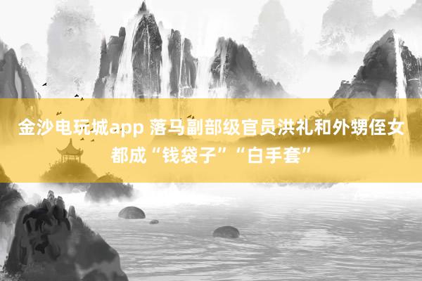 金沙電玩城app 落馬副部級(jí)官員洪禮和外甥侄女都成“錢(qián)袋子”“白手套”