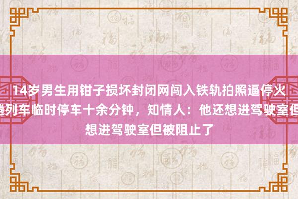14歲男生用鉗子損壞封閉網(wǎng)闖入鐵軌拍照逼停火車，致3趟列車臨時停車十余分鐘，知情人：他還想進(jìn)駕駛室但被阻止了