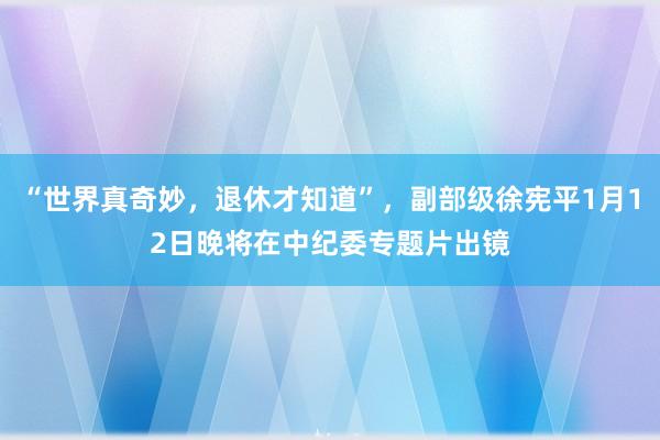 “世界真奇妙，退休才知道”，副部級徐憲平1月12日晚將在中紀(jì)委專題片出鏡