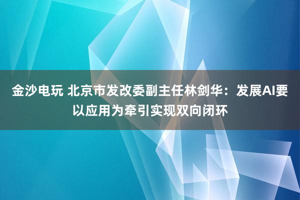 金沙電玩 北京市發改委副主任林劍華：發展AI要以應用為牽引實現雙向閉環