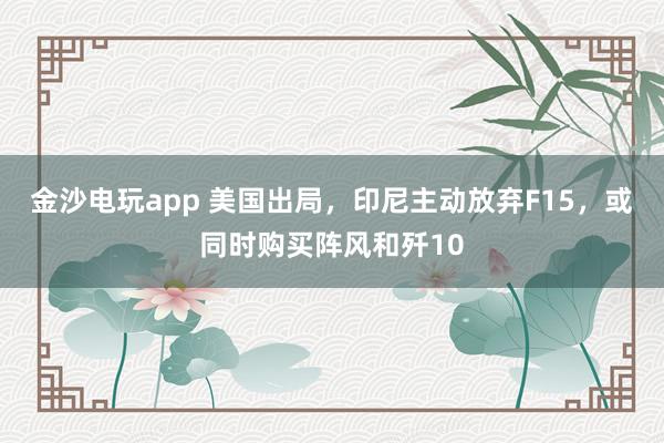 金沙電玩app 美國出局,印尼主動放棄F15,或同時購買陣風(fēng)和殲10