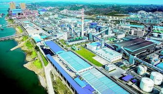 面對 世界500強(qiáng) 巨頭,湖北省省長王曉東講了幾個故事