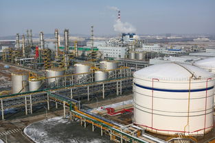 海晶化工黃島啟航 新廠區(qū)搶眼