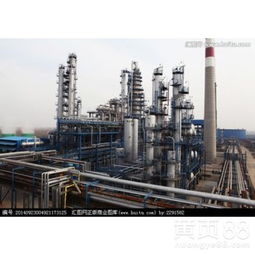 上海化工產(chǎn)業(yè) 轉型升級與可持續(xù)發(fā)展